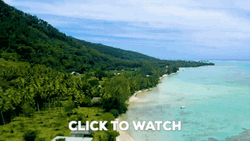 French Polynesia Beach Drone Shot GIF