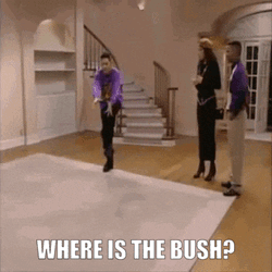 Fresh Prince Bush GIF