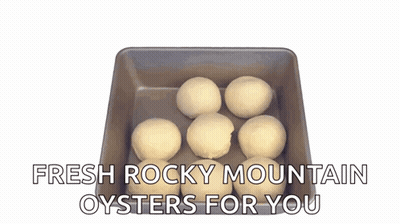 Fresh Rocky Mountain Oysters For You Is Written Above A Tray Of Dough GIF