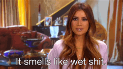 Frida Karlsson Disgusted To Smelly Scent GIF
