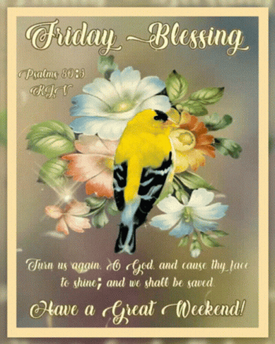 Friday Blessing Bird And Flowers GIF