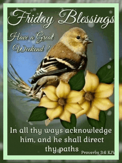 Friday Blessings GIF