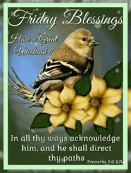 Friday Blessings In All Thy Ways Acknowledge Him