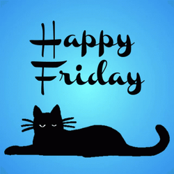 Friday Cat Black Cat Resting GIF