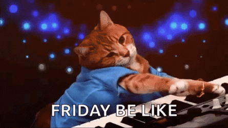 Friday Cat DJ Friday Be Like GIF