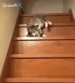 Friday Cat Falling Down The Stairs GIF
