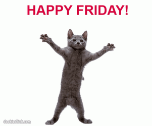 Friday Cat Gray Dance GIF
