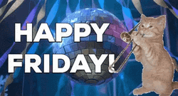 Friday Cat Playing Trumpet GIF