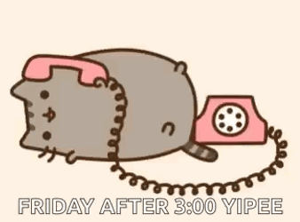 Friday Cat Pusheen In A Call GIF