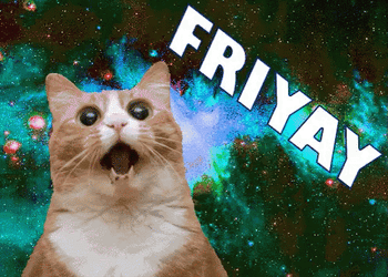 Friday Cat Shocked Friyay GIF