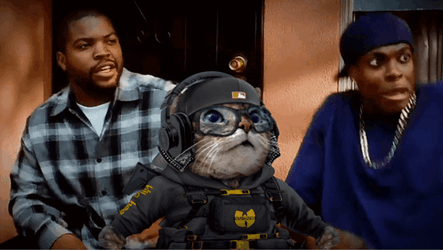 Friday Damn DJ Kitty Meme GIF