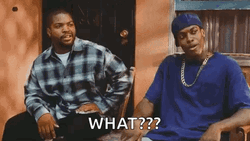 Friday Damn Smokey And Craig Jones What GIF
