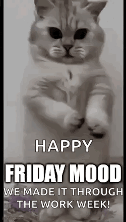 Friday End Of The Week GIF