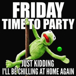 Friday Humor Meme GIF