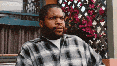 Friday Ice Cube GIF