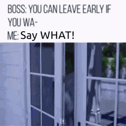 Friday Work Say What GIF