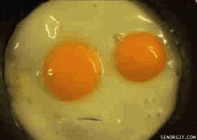 Fried Egg Close Up Senorgif
