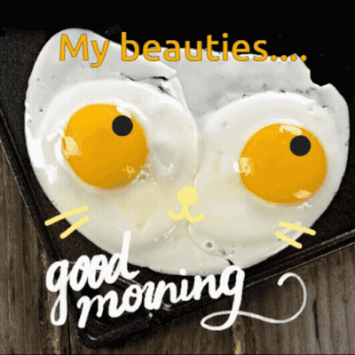 Fried Eggs In The Shape Of A Cat With The Words My Beauties Good Morning GIF