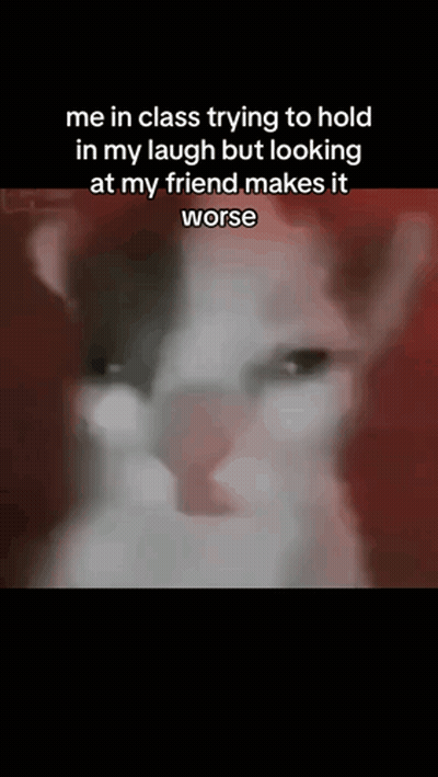 Friend GIF