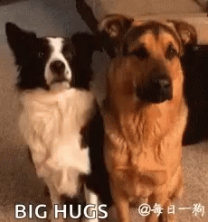 Friend Hug Dog Tongue Sticking Out GIF
