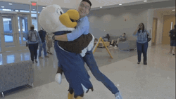 Friend Hug  Eagle Mascot GIF