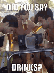 Friends Drinking Did You Say Drinks GIF