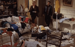 Friends Hoarders GIF