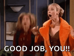 Friends Phoebe And Rachel Excited Good Job Meme GIF