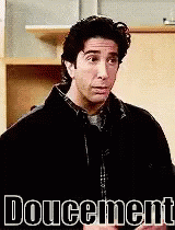 Friends Ross Doucement Slow Down GIF