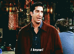 Friends Ross I Know Right GIF