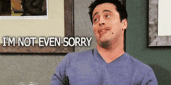 Friends Sitcom Joey Tribbiani No Regrets Not Sorry  GIF