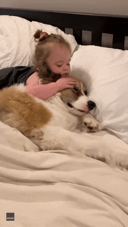 Friendship Day Of Dog And Baby Girl GIF