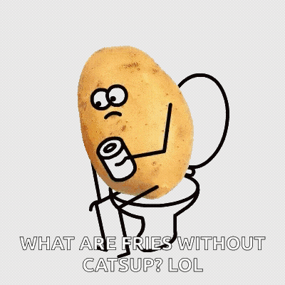 Fries Ketchup What Are Fries Without Catsup Lol GIF
