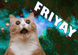 Friyay Screaming Space Cat Meme GIF