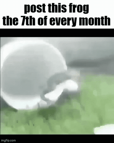 Frog Crawling On Green Surface GIF