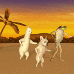Frog Dancing Funny Animals GIF