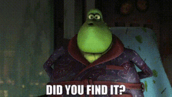 Frog Did You Find It GIF