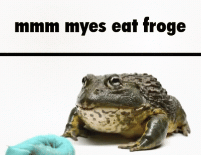 Frog Eating Meat Saying Mmmm Myes Eat Froge