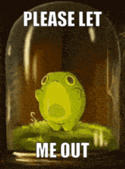 Frog Frog House GIF