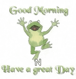 Frog Good Morning Have A Great Day GIF