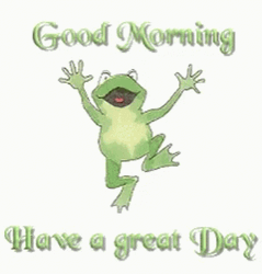 Frog Good Morning Thursday Funny GIF