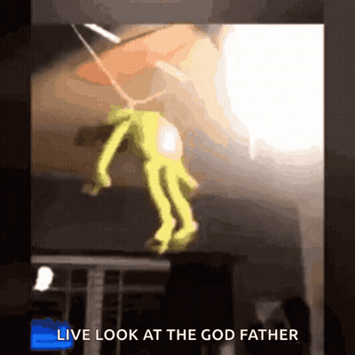 Frog Hanging From Ceiling Live Look At Godfather GIF