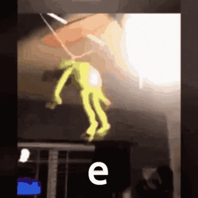 Frog Hanging From Ceiling With Letter E GIF