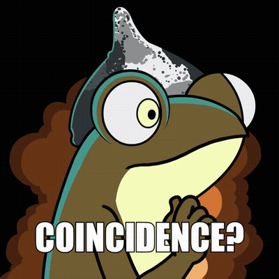 Frog In Party Hat Saying Coincidence GIF