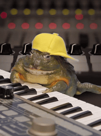 Frog In Yellow Hat On Piano GIF