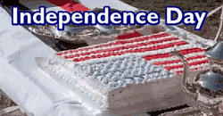 Frog Independence Day GIF