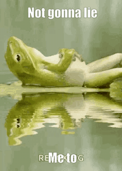 Frog Laying On Back In Water Saying Me To Not Gonna Lie GIF