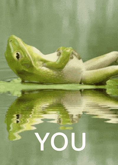 Frog Laying On Leaf In Water Saying You GIF