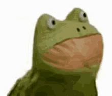 Frog Meme Funny Awkward Sway Dance GIF