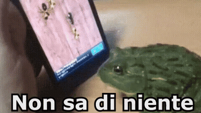 Frog Next To Phone Saying Non Sa Di Niente GIF